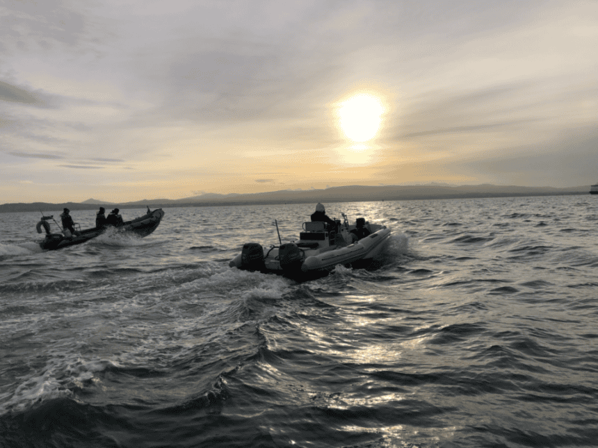 Fishing vessels at sea during sunset in a commercial fishing industry setting.