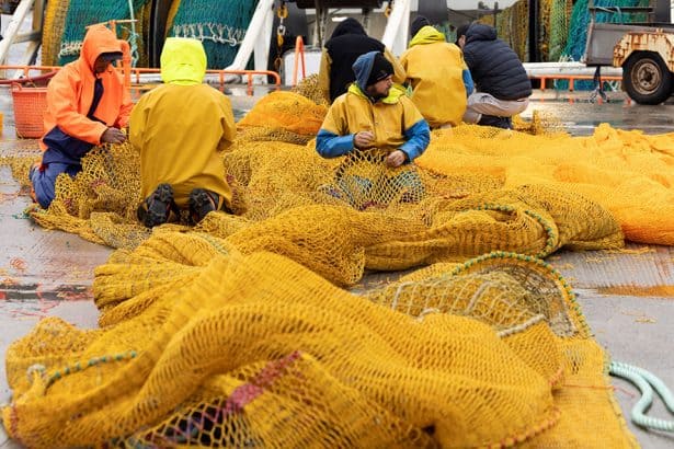 Fishermen and fisherwomen working on fishing nets on a fishing vessel in port, commercial fishing.