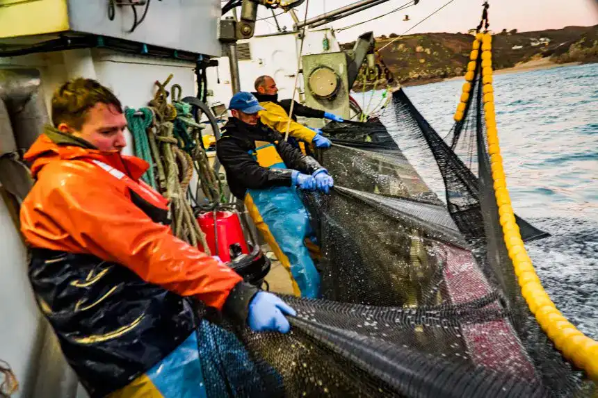 Fishermen hauling a large fishing net on a boat at sea.