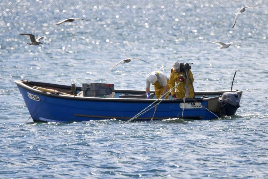 Fishermen on a boat at sea with seagulls flying overhead, fishing activity scene.