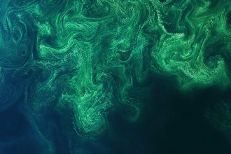 Abstract green and dark swirling ocean currents, representing warming seas.