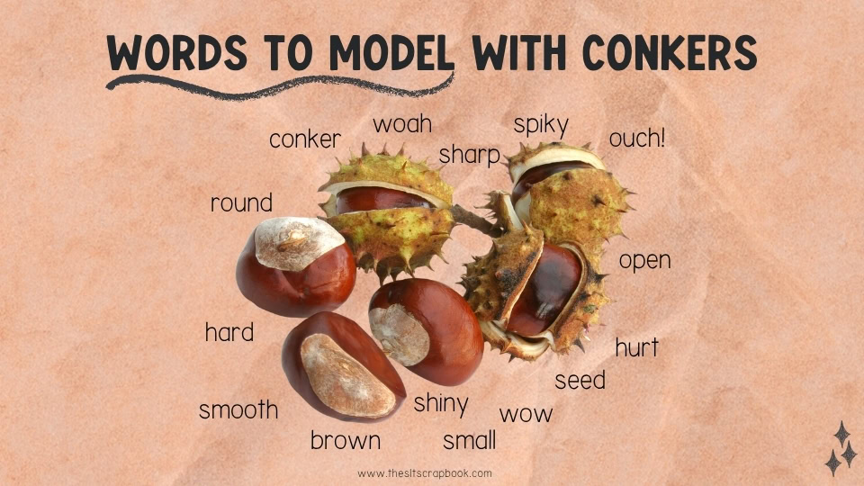 Orange crinkled paper background. Title in all capitals says "words to model with conkers". Then there is a picture of conkers and a range of target words around, covering nouns, verbs, core words, and more. Such as woah, sharp, spiky, round, open, seed, small, ball, etc.