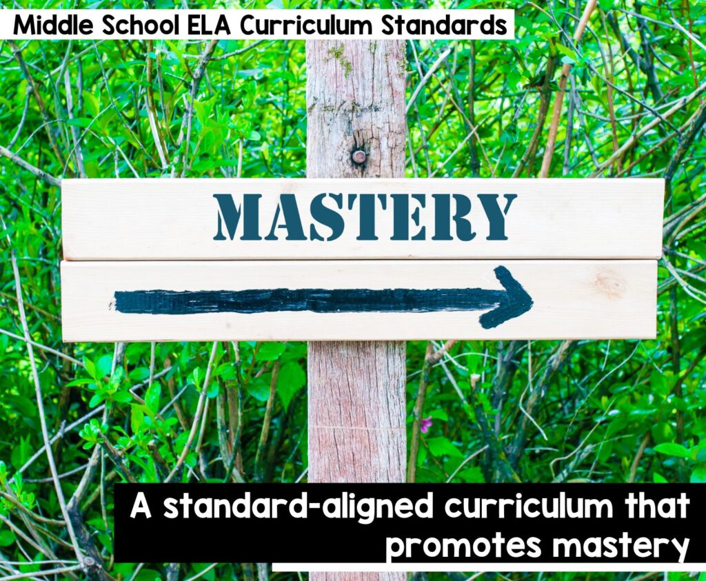 A Standard-Aligned Curriculum that Promotes Mastery