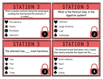 Digestive System Breakout Activity - Task Cards Puzzle Challenge - Image 4