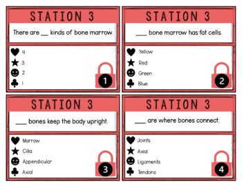 Skeletal System Breakout Activity - Task Cards Puzzle Challenge - Human Body - Image 4
