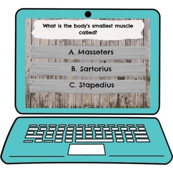 Muscular System Interactive Google Slides™ Presentation | Digital - Image 2