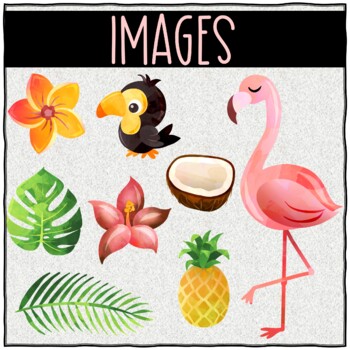 Bulletin Board Display Kit - Teacher Bulletin Board - Flamingo - Tropical Theme - Image 2