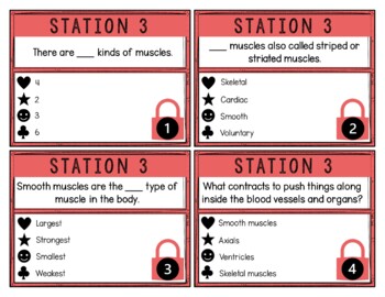Muscular System Breakout Activity - Task Cards Puzzle Challenge - Image 4