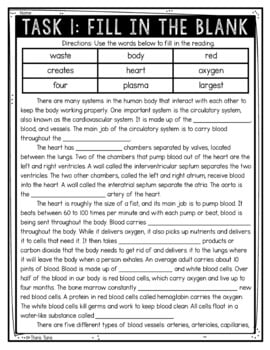 Circulatory System Reading Comprehension Challenge - Close Reading - Image 2
