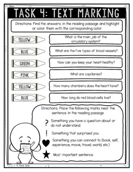 Circulatory System Reading Comprehension Challenge - Close Reading - Image 4