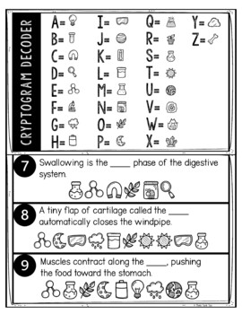 Digestive System Puzzle Stations Breakout - Image 2