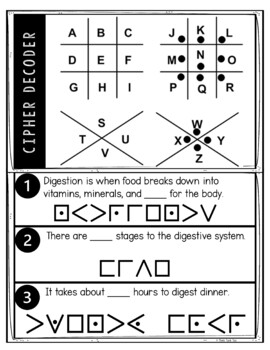 Digestive System Puzzle Stations Breakout - Image 4