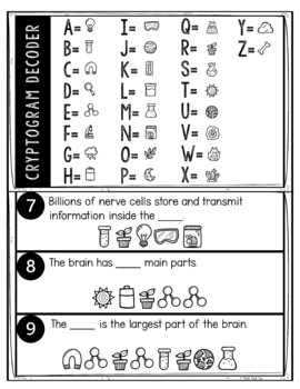 Nervous System Puzzle Stations Breakout - Image 4