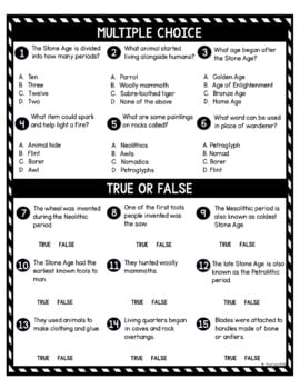 Stone Age DIGITAL Reading Passage & Questions Self Grading - Image 4