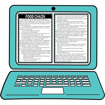 Food Chain Secret Message Activity for Google Sheets™ - Image 4