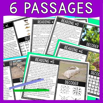 Food Chain Reading Comprehension and Puzzle Escape Room - Image 2