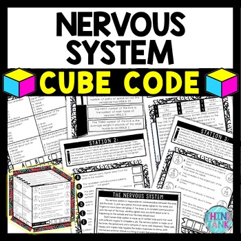 Nervous System Cube Stations - Reading Comprehension Activity - Human Body