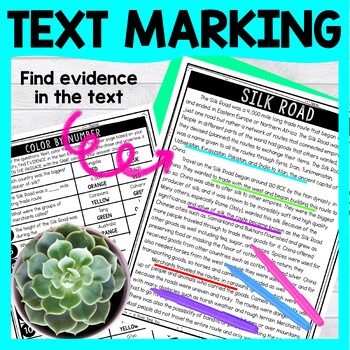 Silk Road Color by Number - Close Reading & Text Marking - Ancient China - Image 4