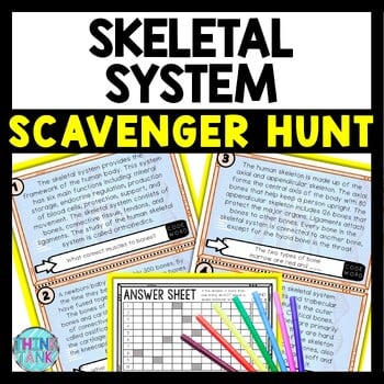 Skeletal System Scavenger Hunt Reading Comprehension Activity - Human Body