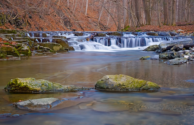 Great Gully Falls limestone beds of the Onondaga Limestone