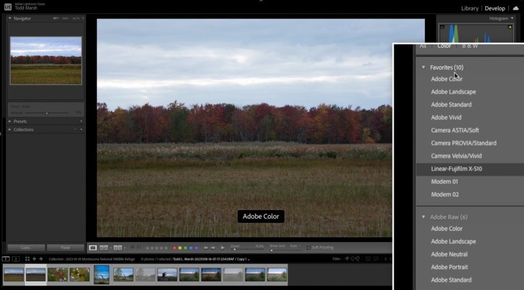 how to change adobe lightroom profiles