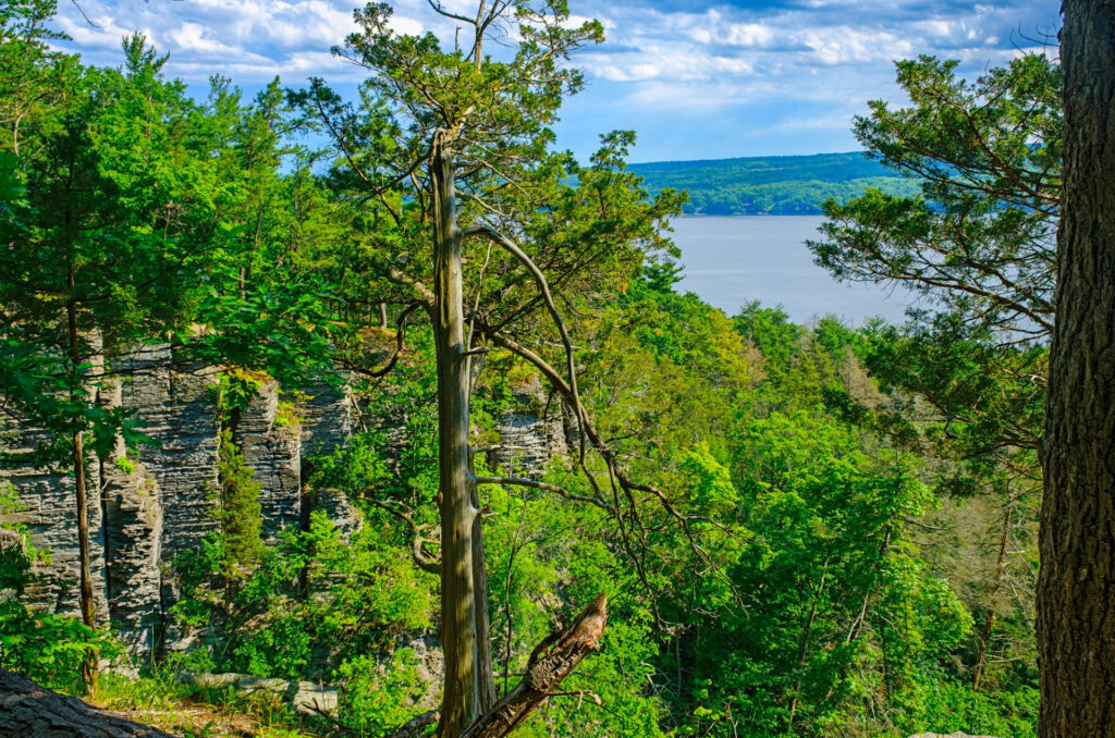 sims-jennings-nature-preserve