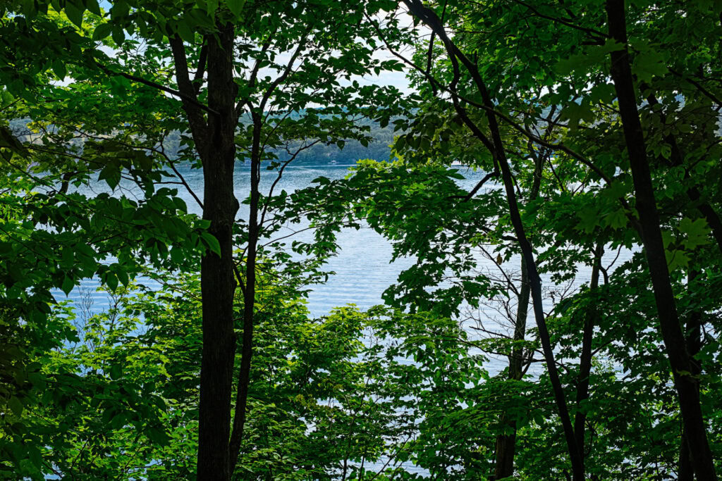 cayuga lake at sims-jennings-preserve