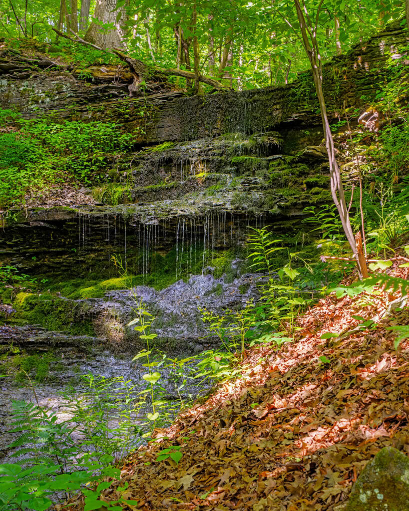 waterfall at sims-jennings-preserve