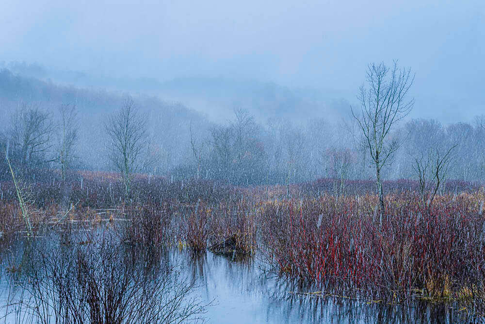First snowfall of the season in the Pleasant Valley nature Preserve marsh