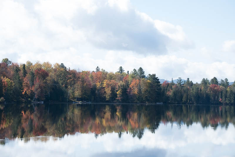 an image with adobe standard profile added for the lightroom and camera raw profiles