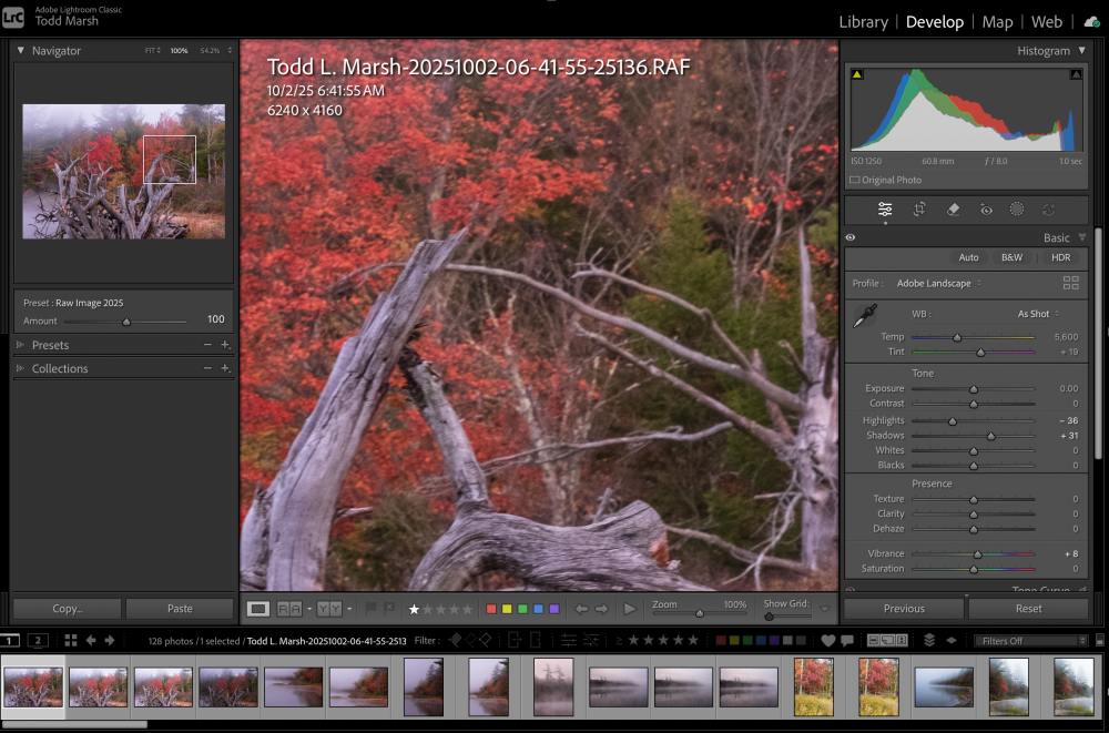 Lightroom Interface image