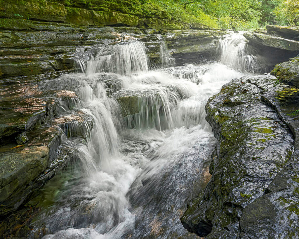 Lower Cascade at Robert H. Treman State Park