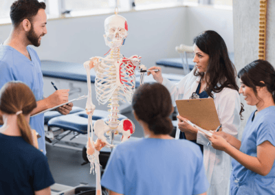 Anatomy & Physiology