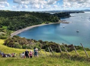 Mahurangi Regional Park 300x220