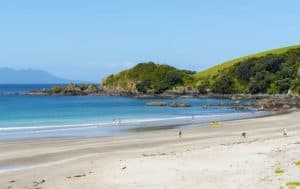 Tawharanui Regional Park