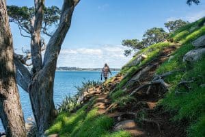 Ti Point Coastal Walk 300x200