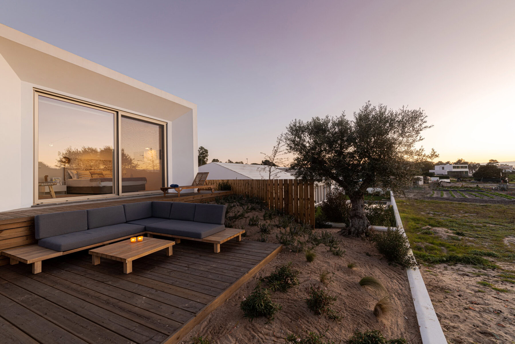 Modern house deck with outdoor sofa and olive tree at sunset