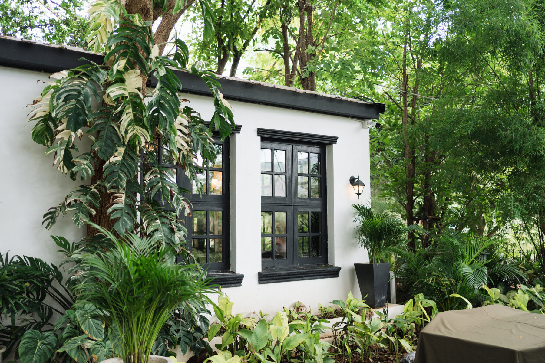 White building with black windows surrounded by lush green plants and trees
