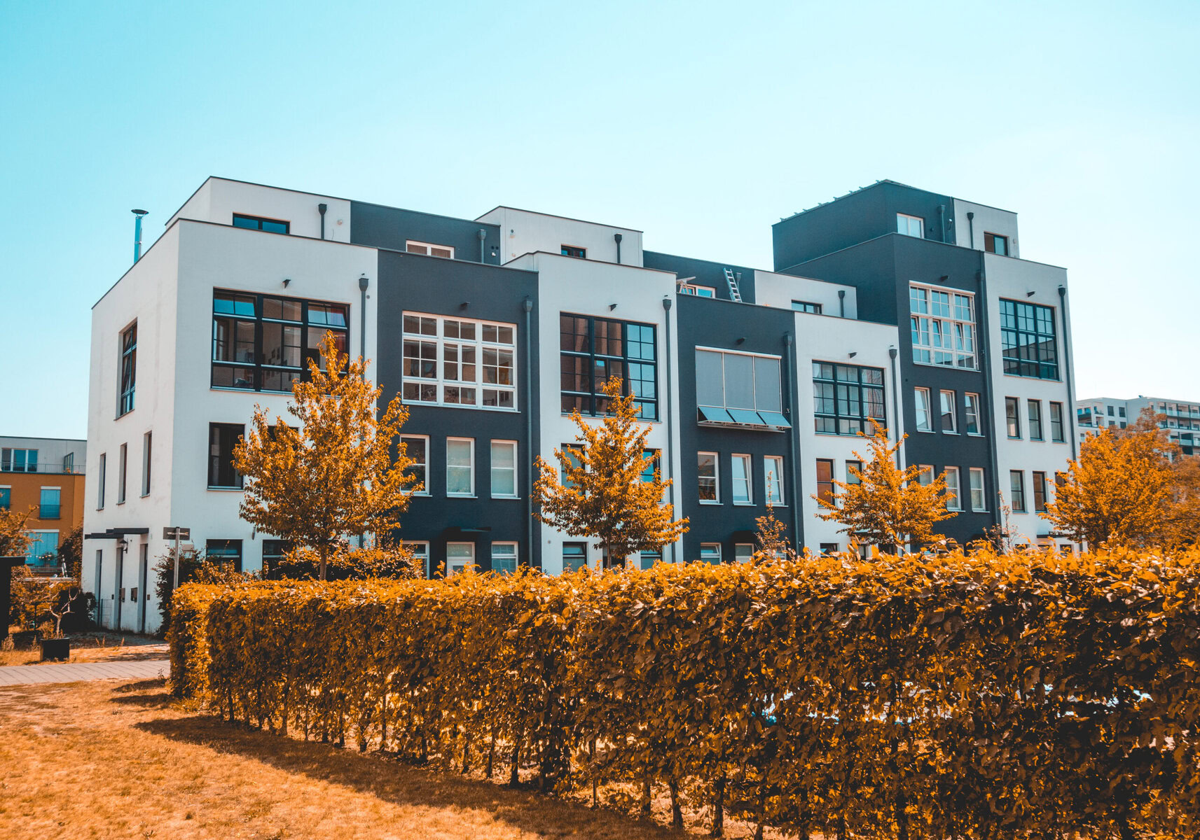 Modern apartment buildings with white and dark grey facades, surrounded by autumn trees.
