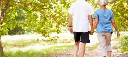 Senior couple walking together in the countryside, back view; what happens if you die without a will