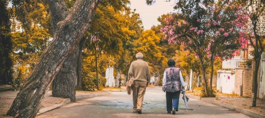 Senior couple walking in park with autumn trees and colorful leaves.