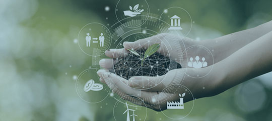 Hand holding soil with digital eco-friendly icons for sustainability.