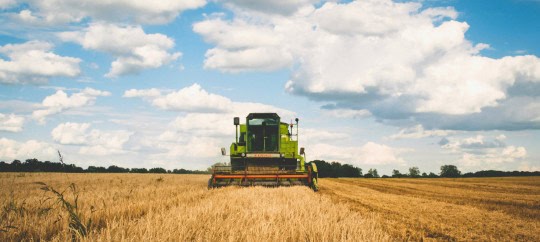 Harvesting   Not Just For Farmers