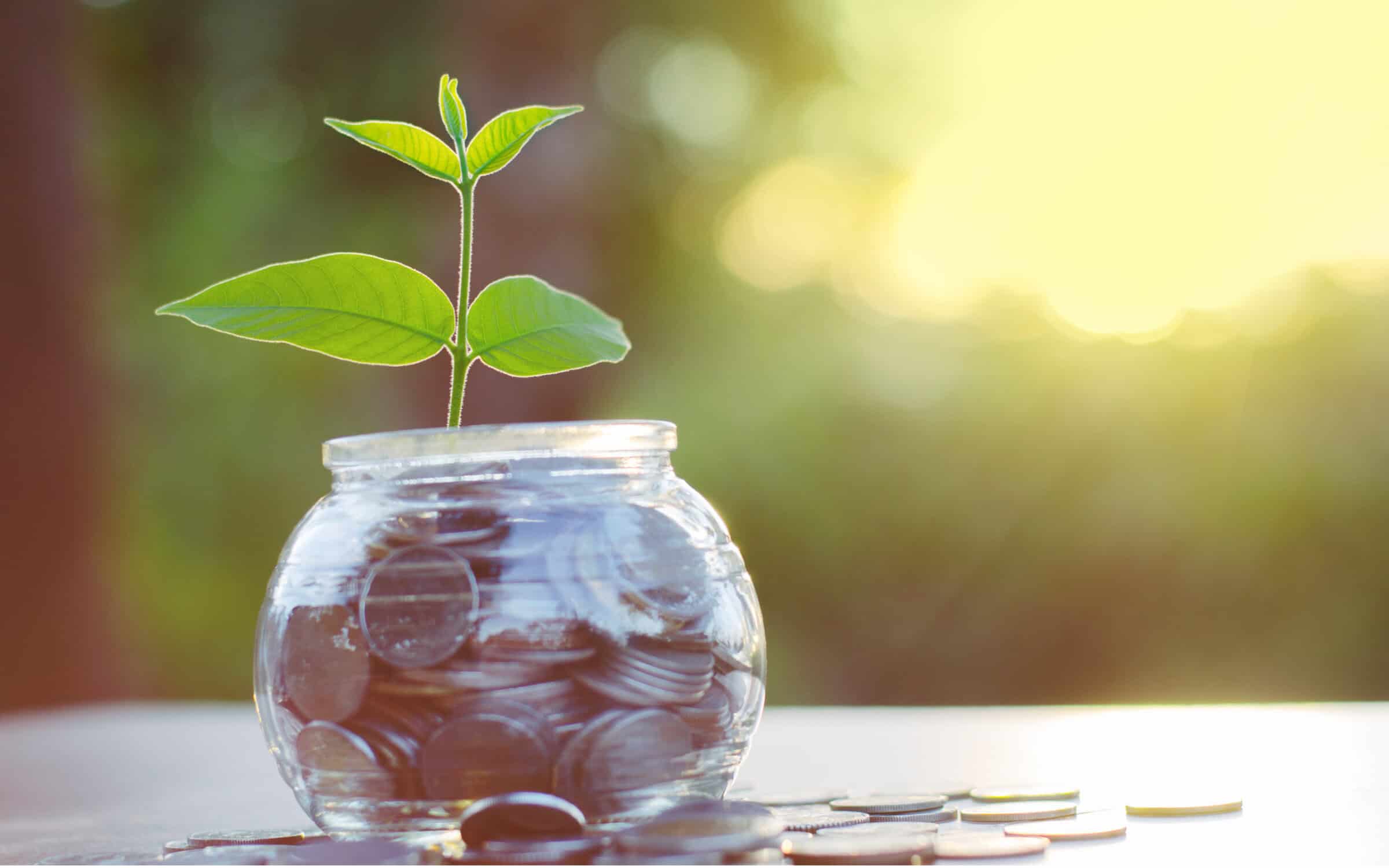 jar of coins with plant growing out of it