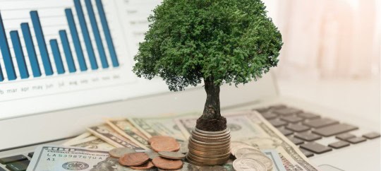 Common Investor Pitfalls