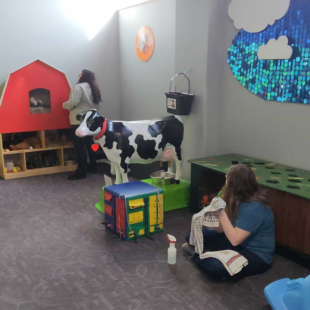 Trust Point Young Professionals cleaning the Childrens Museum of La Crosse