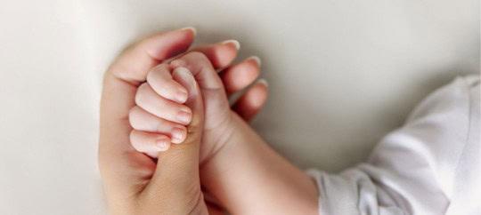 adult holding a babys hand