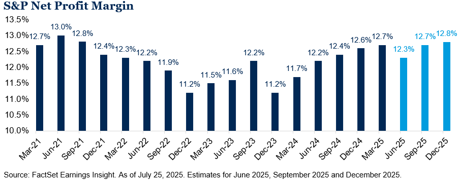 S And P Net Profit Margin