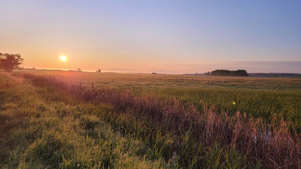 Brenda S Nebraska Family Farm And Ranch