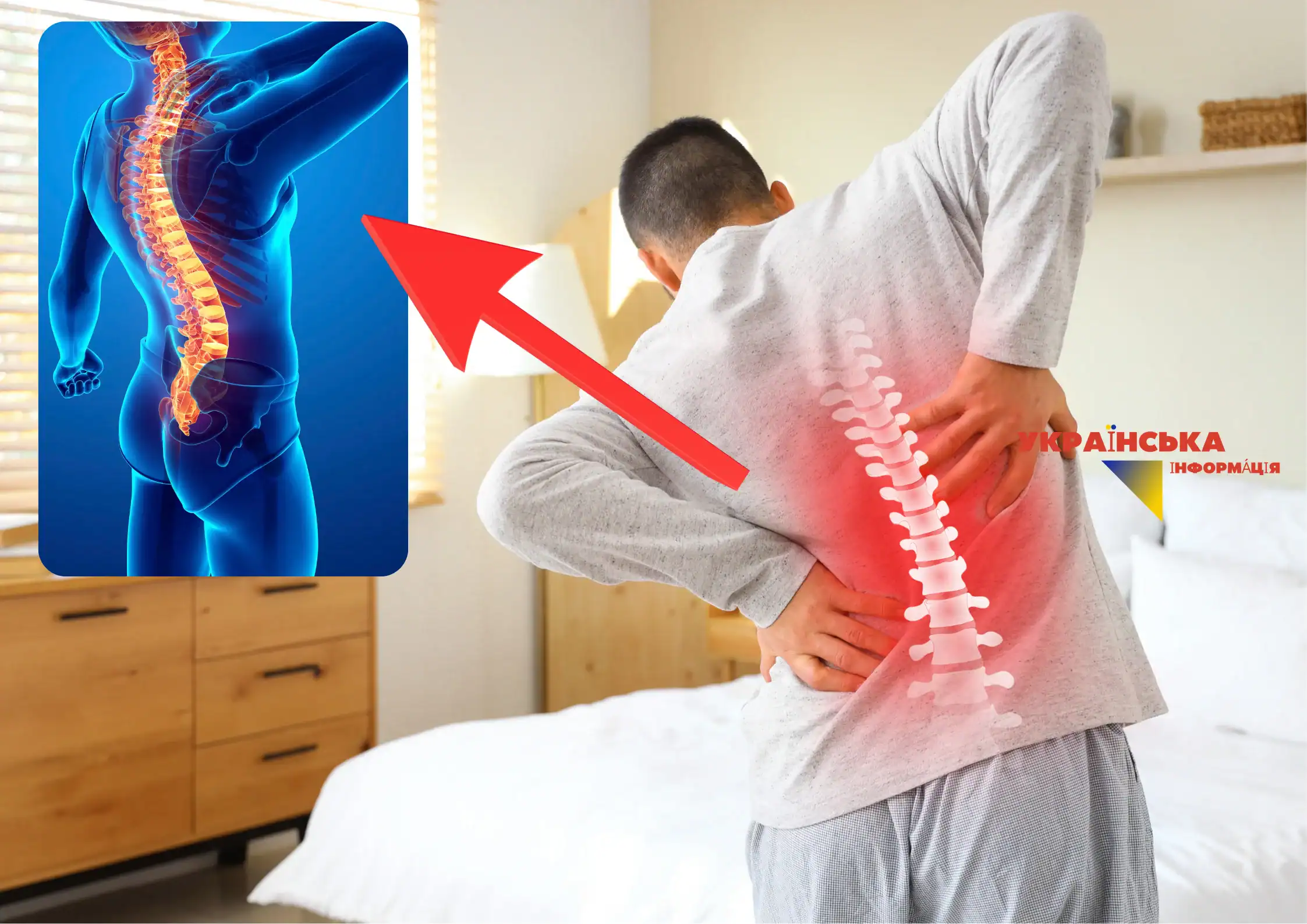 Back pain: why it occurs, how to get rid of it forever, and what really helps (a scientific perspective)